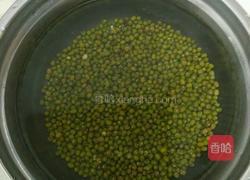 自制豆芽的做法图解1