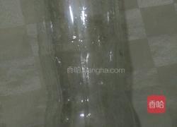 自制豆芽的做法图解4