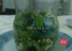 自制豆芽的做法图解5