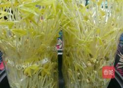 自制豆芽的做法图解10