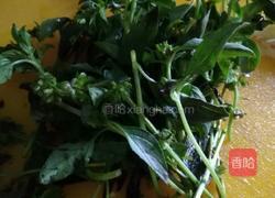 金不换炒花甲的做法图解2