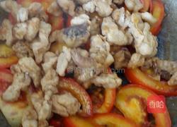 番茄炒油渣的做法图解7