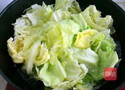 卷心菜素包子的做法图解6