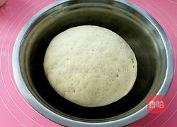 卷心菜素包子的做法图解10