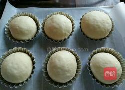 苹果面包的做法图解6