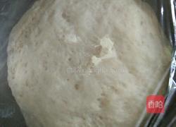 玉米肉包子的做法图解6