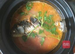 番茄鲫鱼汤的做法图解7
