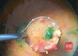 番茄鲫鱼汤的做法图解8