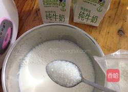 自制酸奶果仁的做法图解3