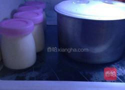 自制酸奶果仁的做法图解12