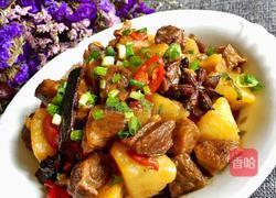 牛肉焖土豆的做法图解13