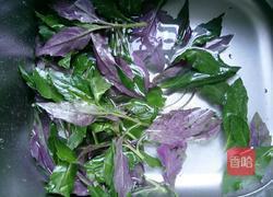 红背菜的做法图解1