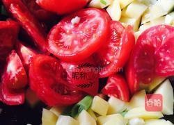 西红柿炖牛腩的做法图解3