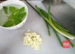 九层塔蒸鱼的做法图解2