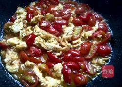 圣女果炒鸡蛋的做法图解8