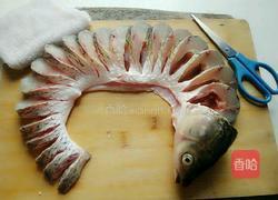 清蒸孔雀开屏鱼的做法图解5