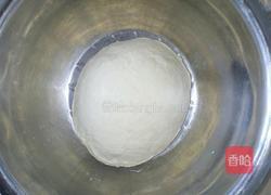 胡萝卜猪肉水饺的做法图解4