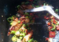 香辣乔巴菌的做法图解5