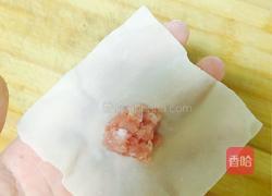 猪肉馄饨(浓汤宝版)的做法图解5