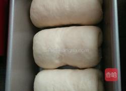 椰香酸奶土司的做法图解6