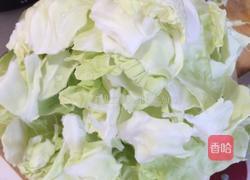 辣炒包菜的做法图解1