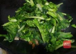 肉丝粉丝小白菜的做法图解5