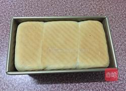 卡达仕超软土司（汤种）的做法图解17