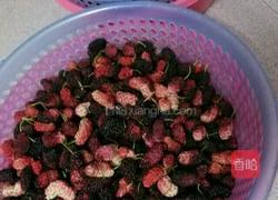 桑葚酿酒的做法图解1