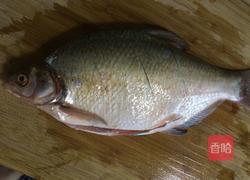 红烧鳊鱼的做法图解2