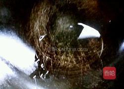 酸豆角炒花饭的做法图解7