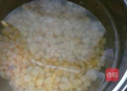 玉米西米羹的做法图解6