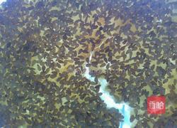 鸡内金芝麻饼的做法图解11