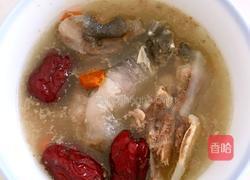 清炖甲鱼的做法图解4