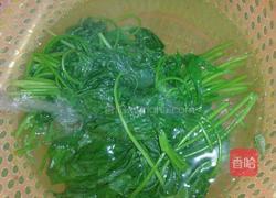 蒜香红薯叶的做法图解5