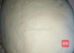 茼蒿瘦肉水饺的做法图解1