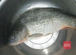 清蒸鲤鱼的做法图解1