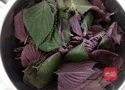 凉拌紫苏的做法图解1