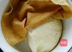 韭菜鸡蛋香菇素包子的做法图解5