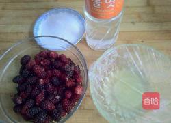 自制桑葚果酱的做法图解1