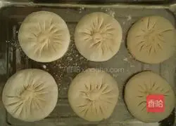 Pork and Cabbage Pie Recipe Illustration 15