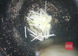 清炒土豆丝的做法图解7