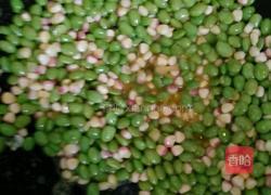 青椒炒毛豆玉米粒的做法图解4