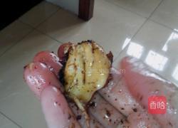 新奥尔良炸小鸡腿的做法图解9