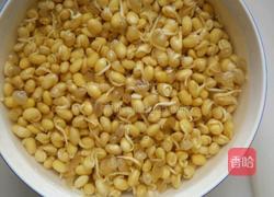 炒黄豆芽的做法图解1