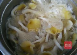 煮鸡油菌的做法图解3