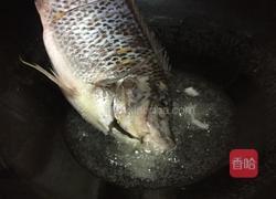 豆瓣鱼的做法图解3
