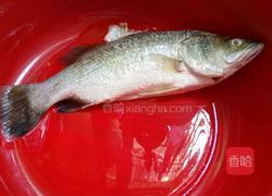 家常烧鱼的做法图解1