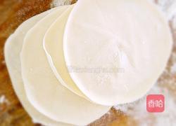 茄子猪肉饺子的做法图解5