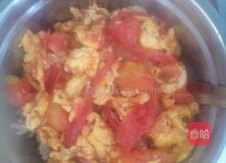 西红柿鸡蛋盖饭的做法图解6