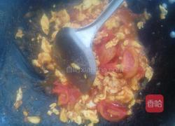 西红柿鸡蛋盖饭的做法图解4